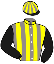 casaque portée par Sanchez Gar. jockey du cheval de course TITE NANA, information pmu ZETURF casaque portée par Sanchez Gar. jockey du cheval de course TITE NANA, information pmu ZETURF