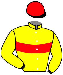 casaque portée par Boutin Hug. jockey du cheval de course PIERO THE BEST, information pmu ZETURF casaque portée par Boutin Hug. jockey du cheval de course PIERO THE BEST, information pmu ZETURF