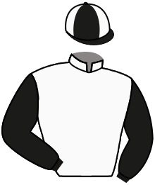 casaque portée par Hardouin E. jockey du cheval de course MARSANNAY, information pmu ZETURF casaque portée par Hardouin E. jockey du cheval de course MARSANNAY, information pmu ZETURF