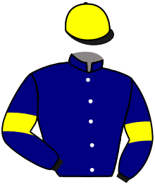 casaque portée par Germain Mlle M. jockey du cheval de course COCKTAIL DRESS, information pmu ZETURF casaque portée par Germain Mlle M. jockey du cheval de course COCKTAIL DRESS, information pmu ZETURF