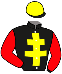 casaque portée par Posthumus Mme D. L. jockey du cheval de course HATAO DU PERCHE, information pmu ZETURF casaque portée par Posthumus Mme D. L. jockey du cheval de course HATAO DU PERCHE, information pmu ZETURF