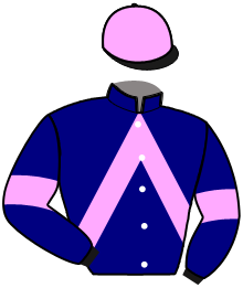 casaque portée par Baranger D. jockey du cheval de course IPIPIP DES SABLES, information pmu ZETURF casaque portée par Baranger D. jockey du cheval de course IPIPIP DES SABLES, information pmu ZETURF