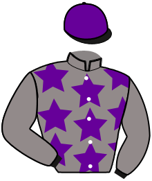 casaque portée par Salmon Est. jockey du cheval de course GIN MABON, information pmu ZETURF casaque portée par Salmon Est. jockey du cheval de course GIN MABON, information pmu ZETURF