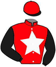 casaque portée par Rouer B. jockey du cheval de course GENIALE STAR, information pmu ZETURF casaque portée par Rouer B. jockey du cheval de course GENIALE STAR, information pmu ZETURF