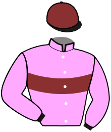 casaque portée par Gaudin J. M. jockey du cheval de course LAMPEE DES GOUJONS, information pmu ZETURF casaque portée par Gaudin J. M. jockey du cheval de course LAMPEE DES GOUJONS, information pmu ZETURF