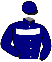 casaque portée par Rochard B. jockey du cheval de course GLOBAL DUBHE, information pmu ZETURF casaque portée par Rochard B. jockey du cheval de course GLOBAL DUBHE, information pmu ZETURF