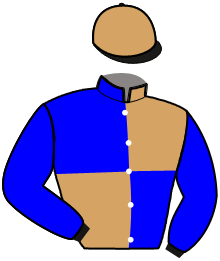 casaque portée par Busset Th. jockey du cheval de course HAPAX, information pmu ZETURF casaque portée par Busset Th. jockey du cheval de course HAPAX, information pmu ZETURF