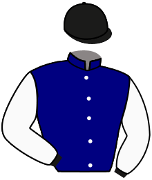 casaque portée par Forest M. jockey du cheval de course BIAK LESCRIBAA, information pmu ZETURF casaque portée par Forest M. jockey du cheval de course BIAK LESCRIBAA, information pmu ZETURF