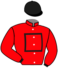 casaque portée par Bourgeais Mr B. jockey du cheval de course BOLID DU MATHAN, information pmu ZETURF casaque portée par Bourgeais Mr B. jockey du cheval de course BOLID DU MATHAN, information pmu ZETURF