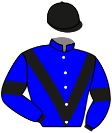 casaque portée par Mouesan H. jockey du cheval de course ATLANTIGO, information pmu ZETURF casaque portée par Mouesan H. jockey du cheval de course ATLANTIGO, information pmu ZETURF