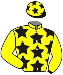 casaque portée par Romary Mlle M. jockey du cheval de course TIERCEVILLE, information pmu ZETURF casaque portée par Romary Mlle M. jockey du cheval de course TIERCEVILLE, information pmu ZETURF