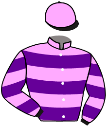 casaque portée par Mouesan H. jockey du cheval de course SHANCEL, information pmu ZETURF casaque portée par Mouesan H. jockey du cheval de course SHANCEL, information pmu ZETURF