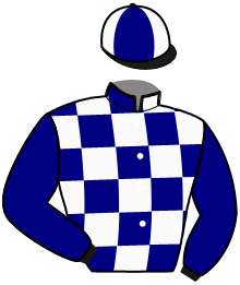 casaque portée par Cingland S. jockey du cheval de course JAYENNE, information pmu ZETURF casaque portée par Cingland S. jockey du cheval de course JAYENNE, information pmu ZETURF