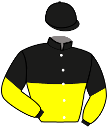 casaque portée par Rochard B. jockey du cheval de course JANGO VICI, information pmu ZETURF casaque portée par Rochard B. jockey du cheval de course JANGO VICI, information pmu ZETURF