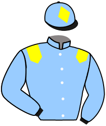 casaque portée par Millet G. jockey du cheval de course ROCK BOY, information pmu ZETURF