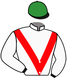 casaque portée par Eon Mlle M. jockey du cheval de course GOLDEN FLASH, information pmu ZETURF casaque portée par Eon Mlle M. jockey du cheval de course GOLDEN FLASH, information pmu ZETURF
