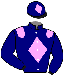 casaque portée par Breux D. jockey du cheval de course DALIAPUR, information pmu ZETURF casaque portée par Breux D. jockey du cheval de course DALIAPUR, information pmu ZETURF