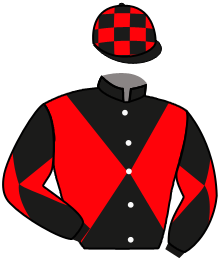 casaque portée par Michel Mlle Mic. jockey du cheval de course CRUELLA DE VIL, information pmu ZETURF casaque portée par Michel Mlle Mic. jockey du cheval de course CRUELLA DE VIL, information pmu ZETURF