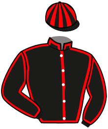casaque portée par Nivard F. jockey du cheval de course JULLOU, information pmu ZETURF