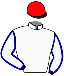 casaque portée par Verva Pie. Y. jockey du cheval de course JOSS AIMEF, information pmu ZETURF casaque portée par Verva Pie. Y. jockey du cheval de course JOSS AIMEF, information pmu ZETURF