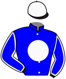 casaque portée par Guyon M. jockey du cheval de course TZERKA, information pmu ZETURF