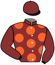casaque portée par Weissmeier Mlle E. R. jockey du cheval de course SEVERIN, information pmu ZETURF casaque portée par Weissmeier Mlle E. R. jockey du cheval de course SEVERIN, information pmu ZETURF