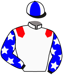 casaque portée par Eon Mlle M. jockey du cheval de course LAZULITE, information pmu ZETURF casaque portée par Eon Mlle M. jockey du cheval de course LAZULITE, information pmu ZETURF