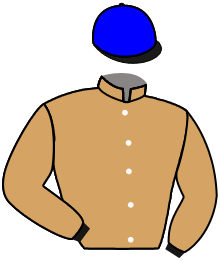 casaque portée par Piccone T. jockey du cheval de course ECHAPPEES BELLES, information pmu ZETURF casaque portée par Piccone T. jockey du cheval de course ECHAPPEES BELLES, information pmu ZETURF