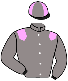 casaque portée par Hardouin E. jockey du cheval de course STATESWOMAN, information pmu ZETURF casaque portée par Hardouin E. jockey du cheval de course STATESWOMAN, information pmu ZETURF