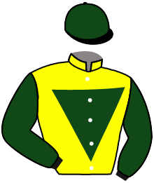 casaque portée par Gaignard Q. jockey du cheval de course LARIWELLE, information pmu ZETURF casaque portée par Gaignard Q. jockey du cheval de course LARIWELLE, information pmu ZETURF