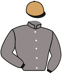 casaque portée par Lajon W. jockey du cheval de course DO RE MIX, information pmu ZETURF casaque portée par Lajon W. jockey du cheval de course DO RE MIX, information pmu ZETURF