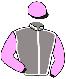 casaque portée par De Giles F. jockey du cheval de course GRIS MINOIS, information pmu ZETURF