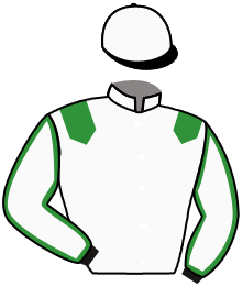 casaque portée par Gavilan Ale. jockey du cheval de course LE TIRAILLEUR, information pmu ZETURF