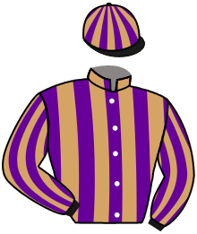 casaque portée par Journiac Tho. jockey du cheval de course GOOD SAULAIE, information pmu ZETURF
