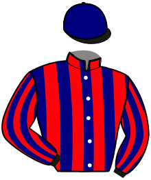 casaque portée par Verva Pie. Y. jockey du cheval de course KINOHA D'OURVILLE, information pmu ZETURF casaque portée par Verva Pie. Y. jockey du cheval de course KINOHA D'OURVILLE, information pmu ZETURF