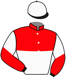 casaque portée par Dubois J. jockey du cheval de course KEYPTOWN, information pmu ZETURF casaque portée par Dubois J. jockey du cheval de course KEYPTOWN, information pmu ZETURF