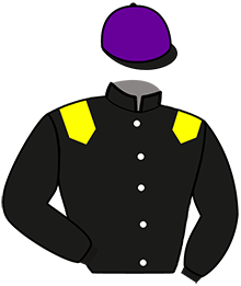casaque portée par Briand Mme O. jockey du cheval de course LEGO DES BROUETS, information pmu ZETURF