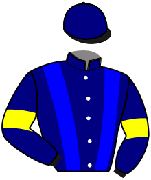 casaque portée par Zorzetto O. jockey du cheval de course BARNABA BABA, information pmu ZETURF