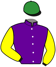 casaque portée par Robin F. jockey du cheval de course HOLLY GREEN, information pmu ZETURF