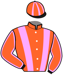 casaque portée par Ensch N. jockey du cheval de course I RUN DE JANEIRO, information pmu ZETURF casaque portée par Ensch N. jockey du cheval de course I RUN DE JANEIRO, information pmu ZETURF