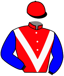 casaque portée par Santiago Mlle D. jockey du cheval de course LOVING STAR, information pmu ZETURF casaque portée par Santiago Mlle D. jockey du cheval de course LOVING STAR, information pmu ZETURF