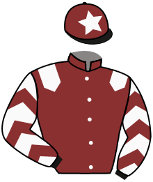 casaque portée par Alavez Mme R. jockey du cheval de course MAJESTICWELLS, information pmu ZETURF casaque portée par Alavez Mme R. jockey du cheval de course MAJESTICWELLS, information pmu ZETURF