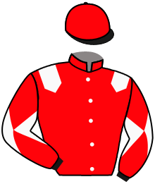 casaque portée par Bails Mlle L. jockey du cheval de course POWERKISS D'OROUX, information pmu ZETURF casaque portée par Bails Mlle L. jockey du cheval de course POWERKISS D'OROUX, information pmu ZETURF
