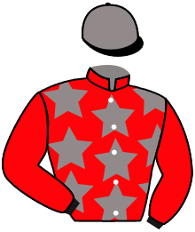 casaque portée par Journiac Tho. jockey du cheval de course LA KARITA SPIGAO, information pmu ZETURF