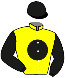casaque portée par Beaudoire A. jockey du cheval de course RIBELLA, information pmu ZETURF
