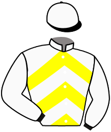 casaque portée par Gautron A. jockey du cheval de course SHIVA DE CANDALE, information pmu ZETURF