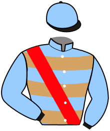 casaque portée par Renard A. jockey du cheval de course L'ARME FATALE, information pmu ZETURF casaque portée par Renard A. jockey du cheval de course L'ARME FATALE, information pmu ZETURF