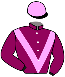 casaque portée par Lauron M. jockey du cheval de course RUE BLEUE, information pmu ZETURF casaque portée par Lauron M. jockey du cheval de course RUE BLEUE, information pmu ZETURF