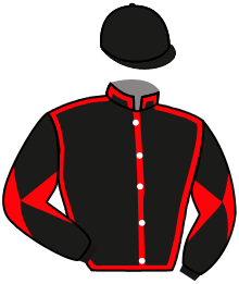 casaque portée par Justum M. jockey du cheval de course BAFFI, information pmu ZETURF casaque portée par Justum M. jockey du cheval de course BAFFI, information pmu ZETURF