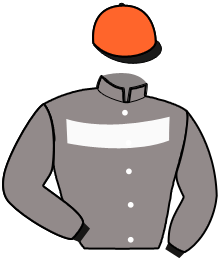 casaque portée par Abrivard A. jockey du cheval de course FINN DI GIRIFALCO, information pmu ZETURF casaque portée par Abrivard A. jockey du cheval de course FINN DI GIRIFALCO, information pmu ZETURF